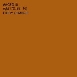 #AC5D10 - Fiery Orange Color Image