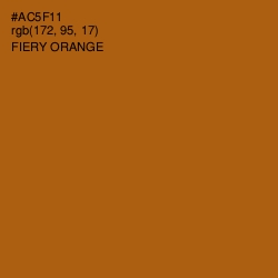 #AC5F11 - Fiery Orange Color Image