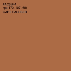 #AC6B44 - Cape Palliser Color Image