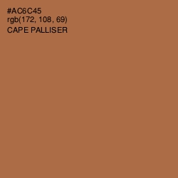 #AC6C45 - Cape Palliser Color Image