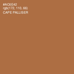 #AC6E42 - Cape Palliser Color Image