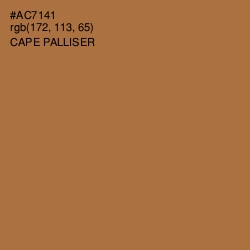 #AC7141 - Cape Palliser Color Image