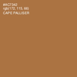 #AC7342 - Cape Palliser Color Image