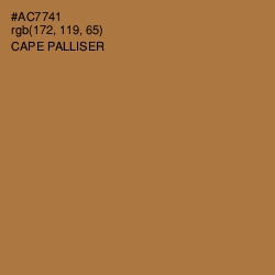#AC7741 - Cape Palliser Color Image