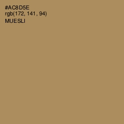 #AC8D5E - Muesli Color Image