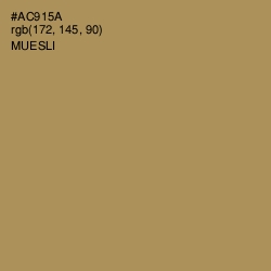 #AC915A - Muesli Color Image