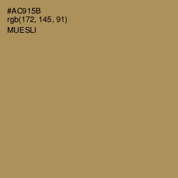 #AC915B - Muesli Color Image