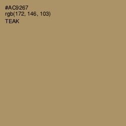 #AC9267 - Teak Color Image