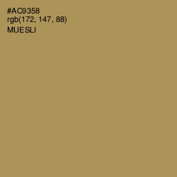 #AC9358 - Muesli Color Image