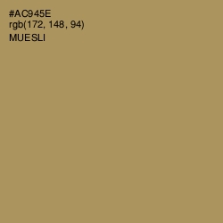 #AC945E - Muesli Color Image