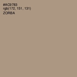 #AC9783 - Zorba Color Image