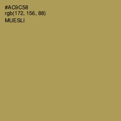 #AC9C58 - Muesli Color Image