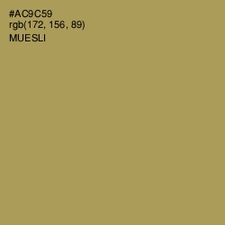 #AC9C59 - Muesli Color Image