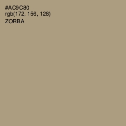 #AC9C80 - Zorba Color Image