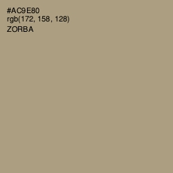 #AC9E80 - Zorba Color Image