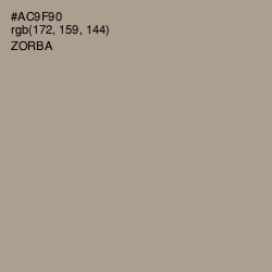 #AC9F90 - Zorba Color Image