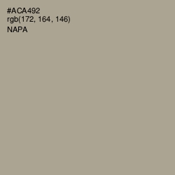 #ACA492 - Napa Color Image