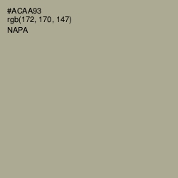 #ACAA93 - Napa Color Image