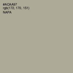 #ACAA97 - Napa Color Image