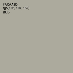 #ACAA9D - Bud Color Image