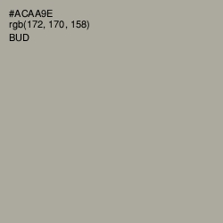 #ACAA9E - Bud Color Image