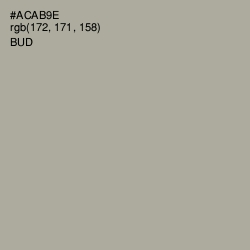 #ACAB9E - Bud Color Image