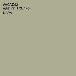 #ACAD92 - Napa Color Image