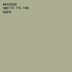 #ACAE92 - Napa Color Image