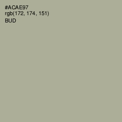 #ACAE97 - Bud Color Image