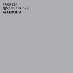 #ACAEB1 - Aluminium Color Image