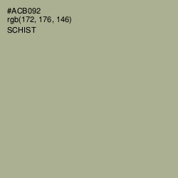 #ACB092 - Schist Color Image