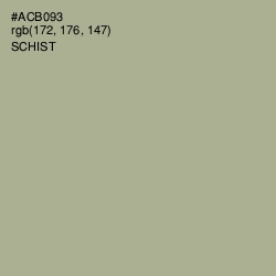 #ACB093 - Schist Color Image
