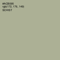 #ACB095 - Schist Color Image