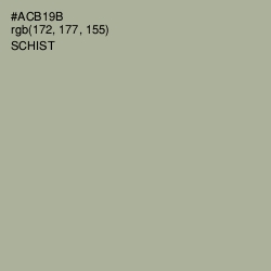 #ACB19B - Schist Color Image