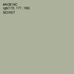 #ACB19C - Schist Color Image