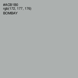 #ACB1B0 - Bombay Color Image