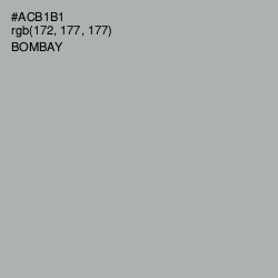 #ACB1B1 - Bombay Color Image
