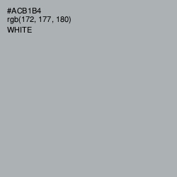 #ACB1B4 - Bombay Color Image