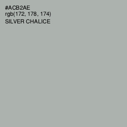 #ACB2AE - Silver Chalice Color Image