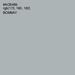 #ACB4B6 - Bombay Color Image