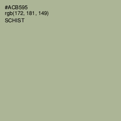 #ACB595 - Schist Color Image