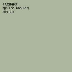 #ACB69D - Schist Color Image