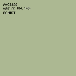 #ACB892 - Schist Color Image