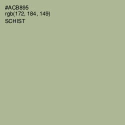 #ACB895 - Schist Color Image