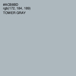 #ACB8BD - Tower Gray Color Image
