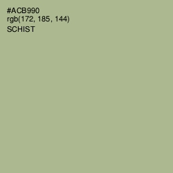 #ACB990 - Schist Color Image