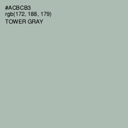 #ACBCB3 - Tower Gray Color Image