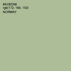 #ACBD98 - Norway Color Image