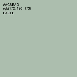 #ACBEAD - Eagle Color Image