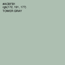 #ACBFB1 - Tower Gray Color Image